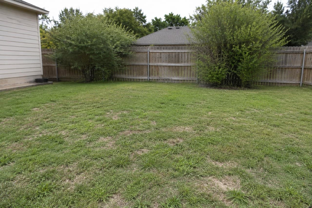 The same garden before the redesign