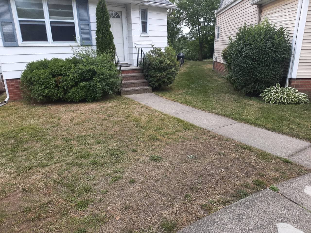 A tired, patchy yard before free AI landscape redesign