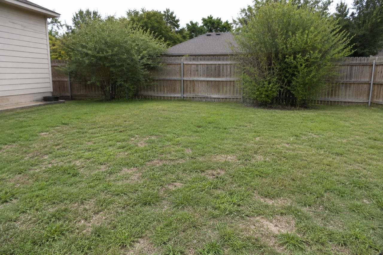 The same garden before the redesign
